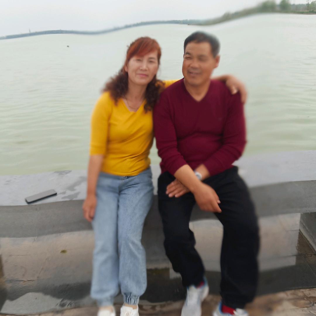 寿光，专业播种菠菜