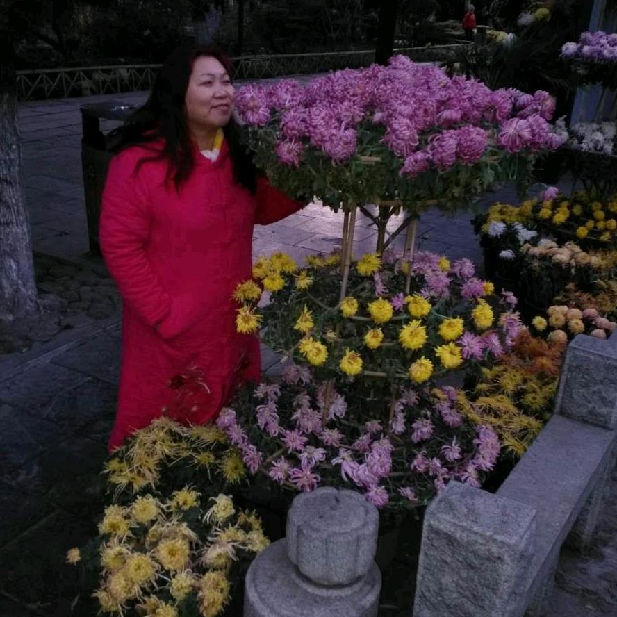 胖美媚