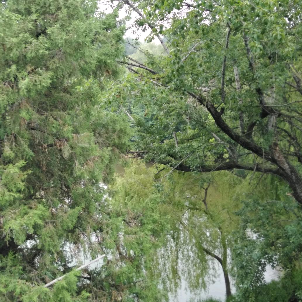 有人牵挂真幸福