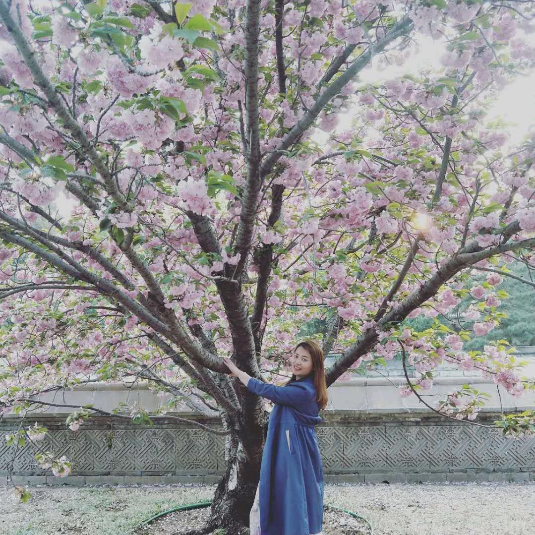 四姐正宗传统古法牛肉汤店