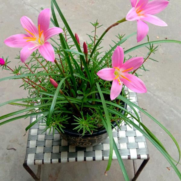 山水王峰（王峰古寨）