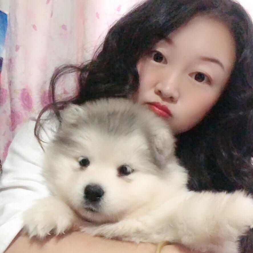 吴氏雨姐宠物犬养殖场