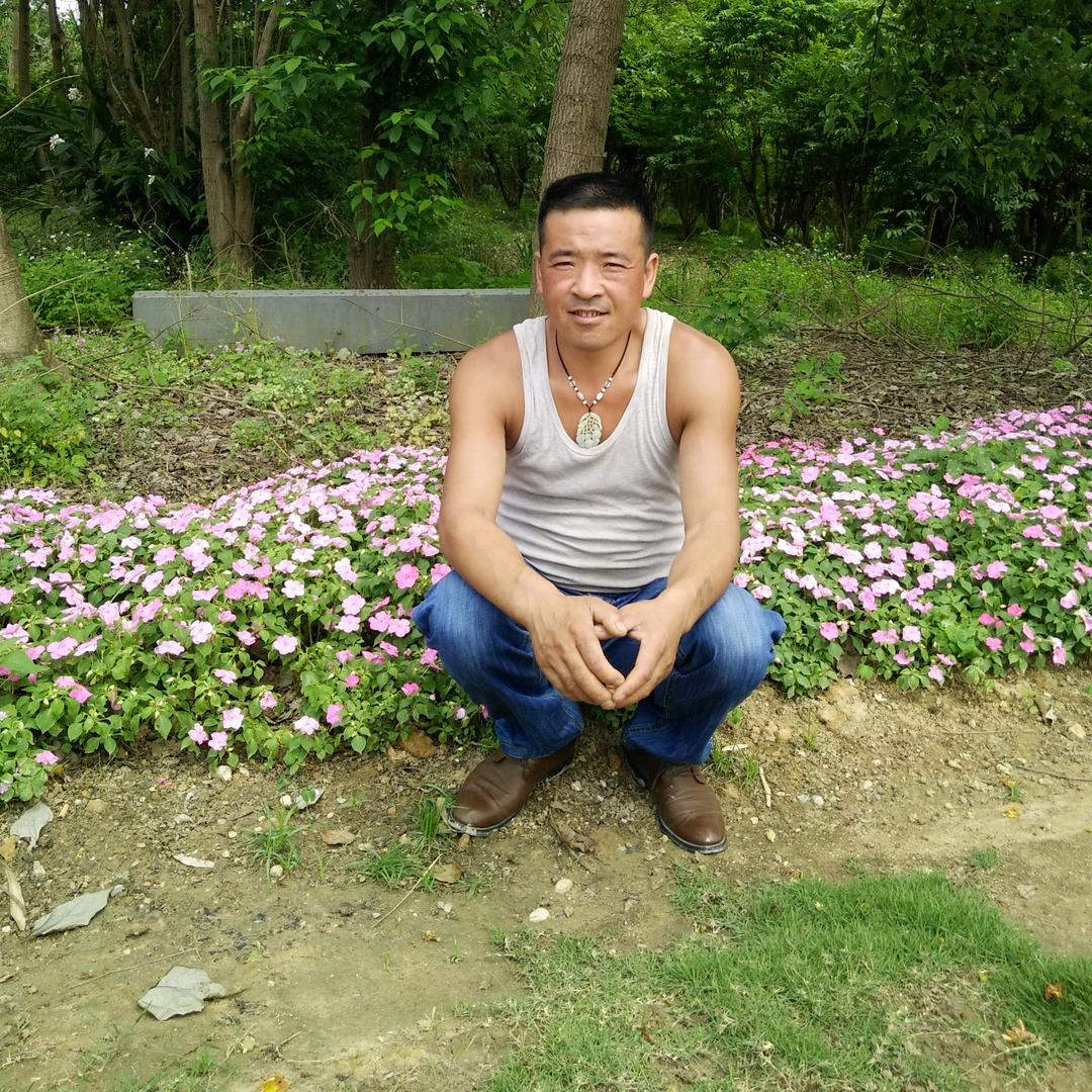 🌷⭐️⭐️吉星高照⭐️⭐️