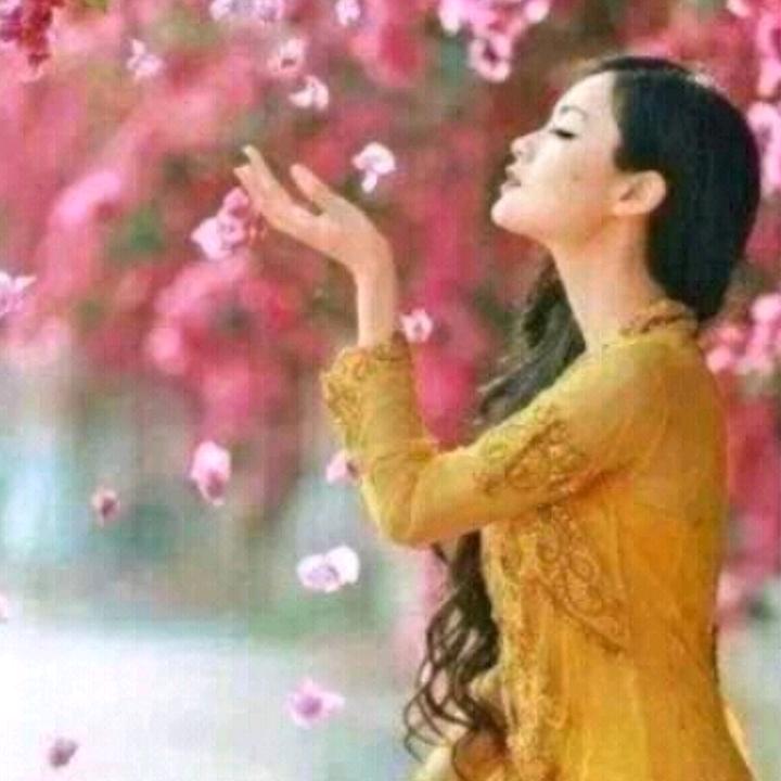 🌹飞飞鱼🌹