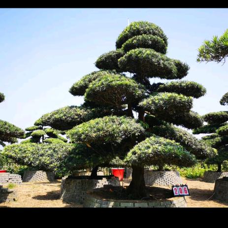 浏阳市艺辉园艺