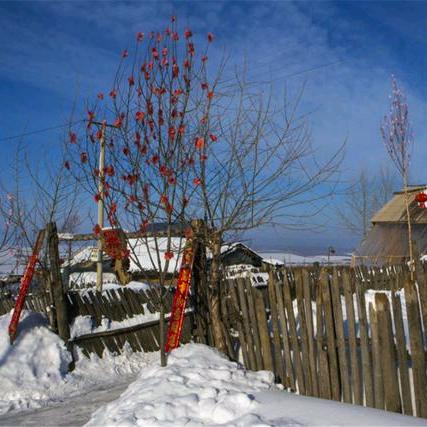 👑👑👑燕子💄💄