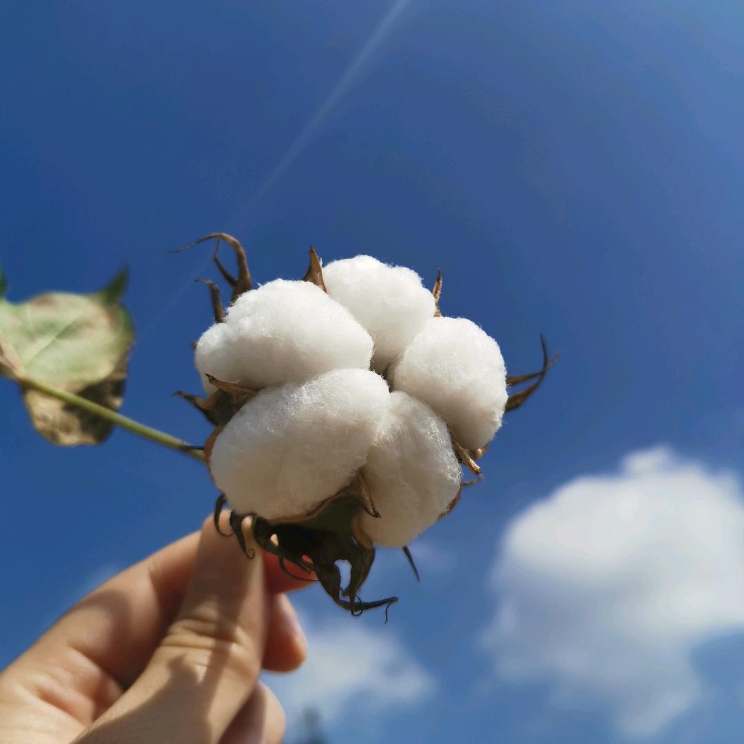 塔哒哒哒