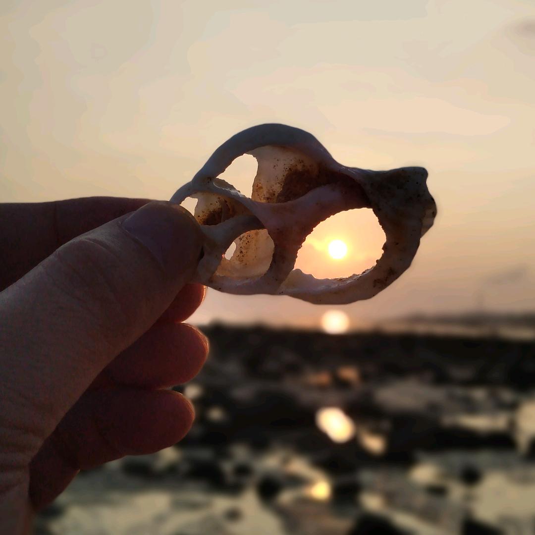 阿立巴巴