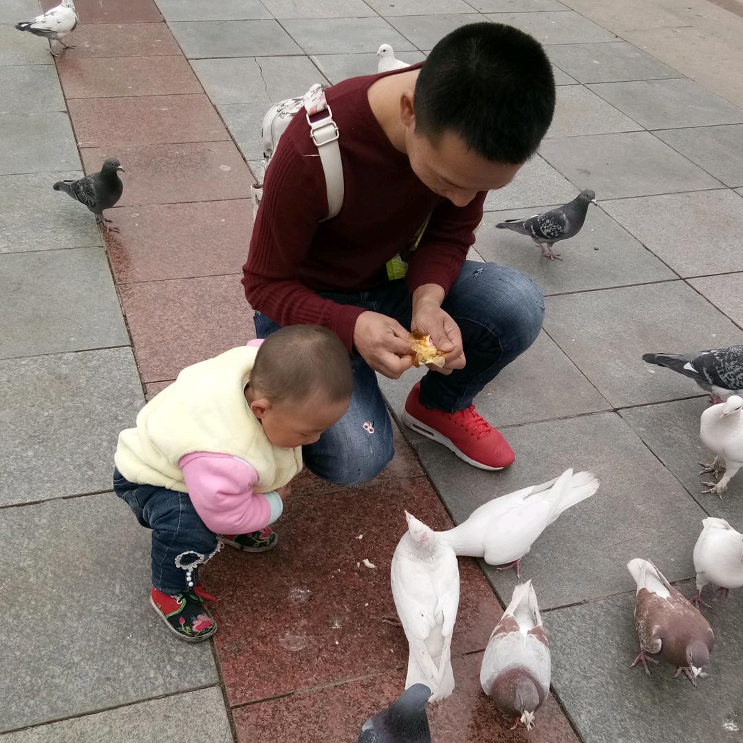 薄凉青年