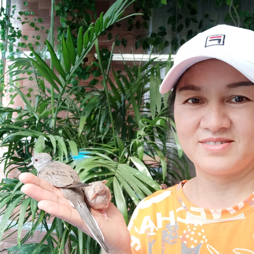 闲不住的人(74年的老虎）