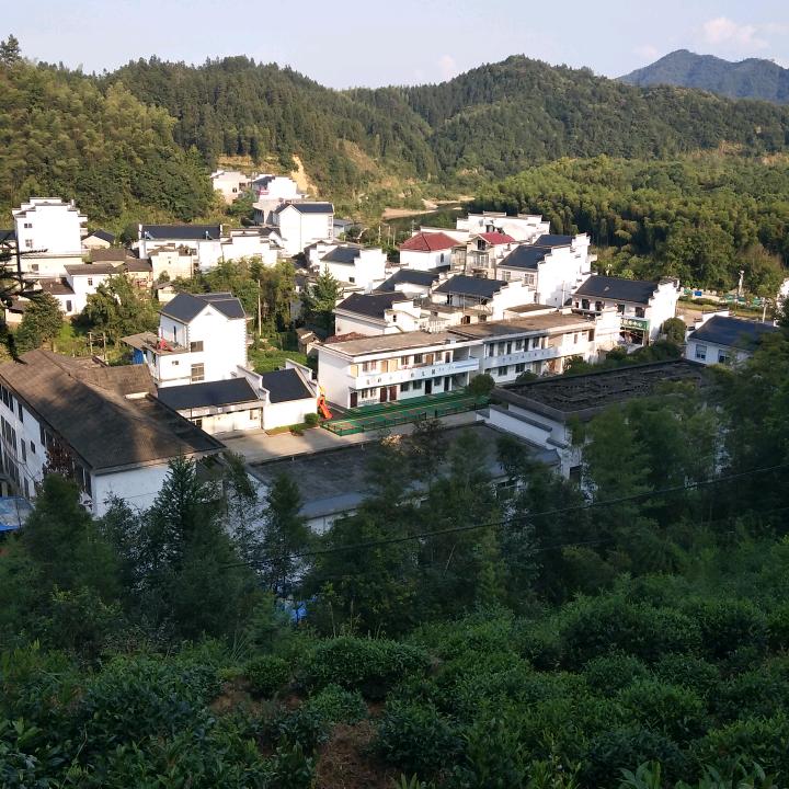 诚心