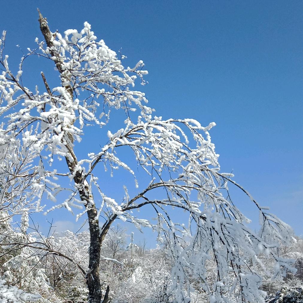 山地飘香农家乐