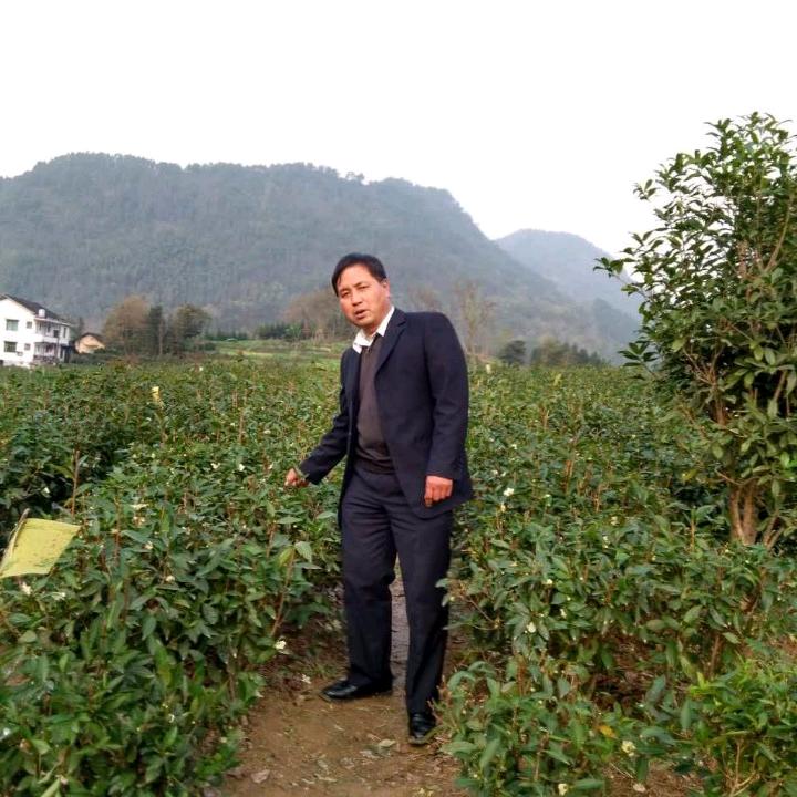踏❄️无痕