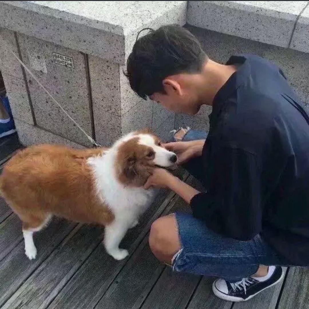 顾念呀