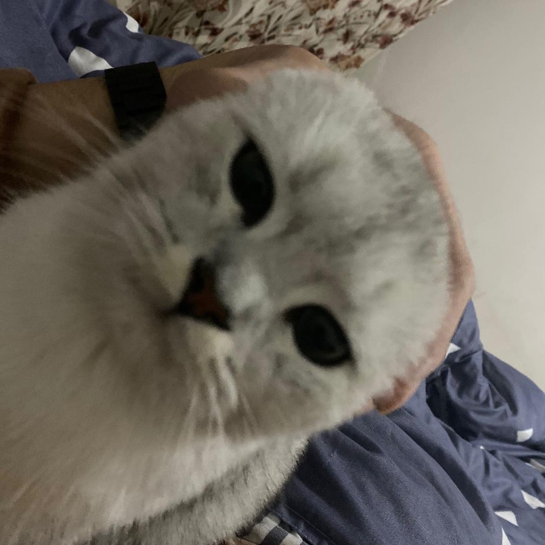 小林爱钓鱼