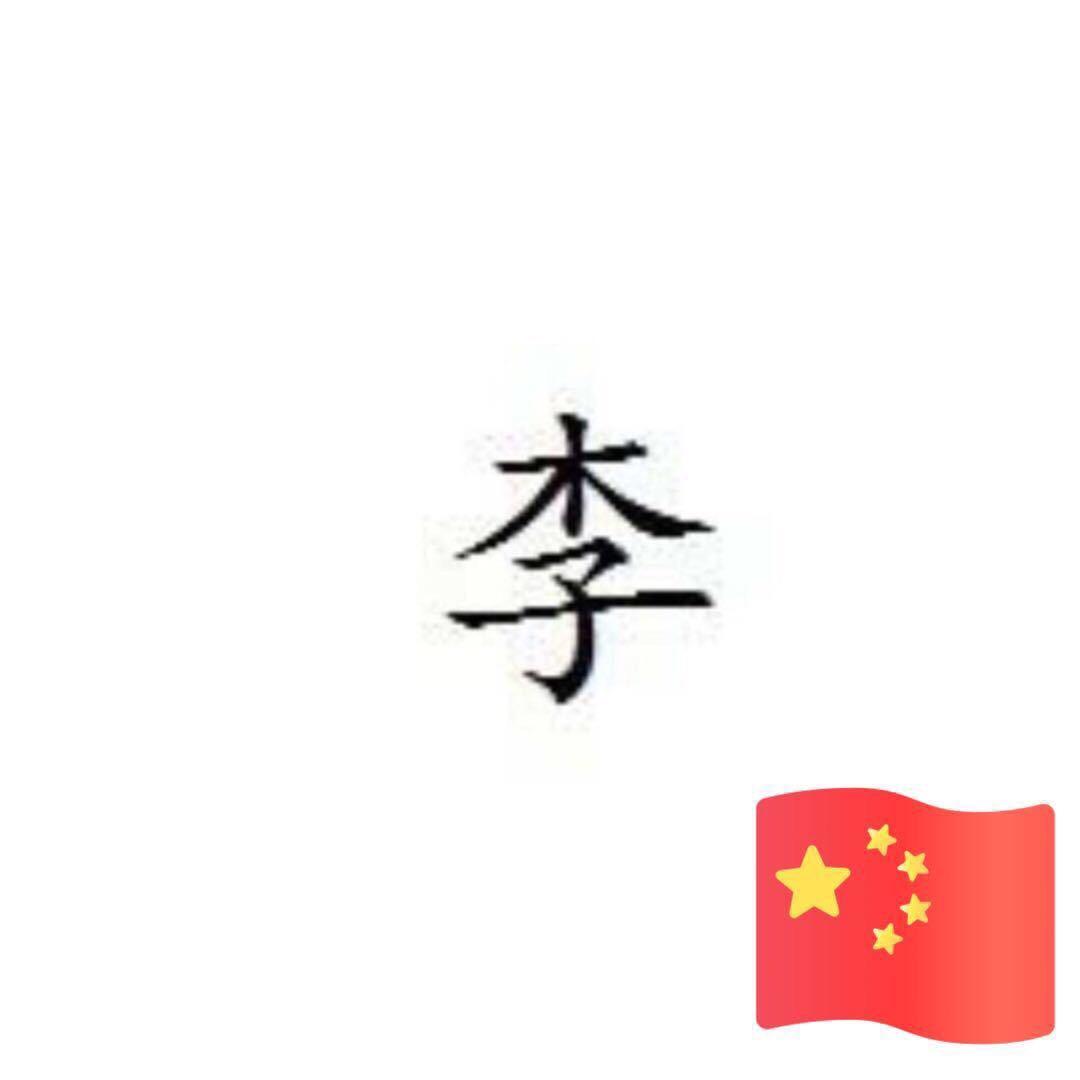 李