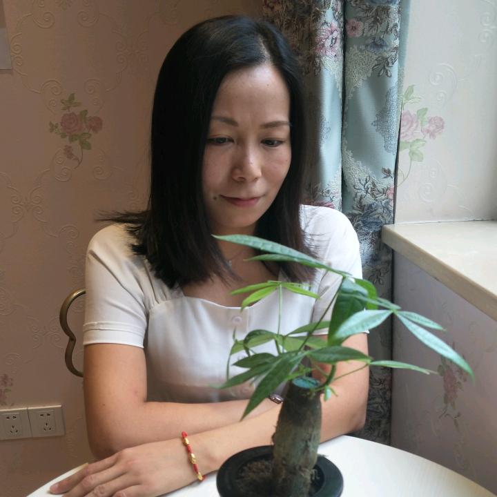 雨姊云