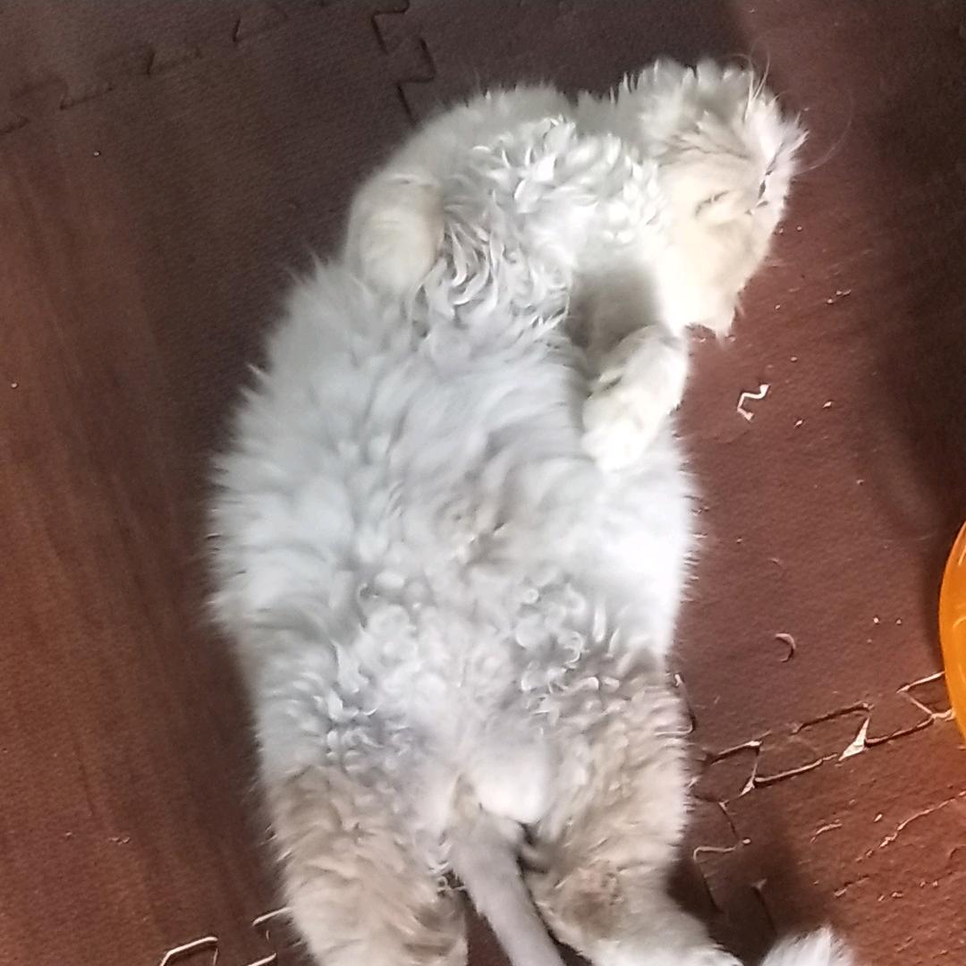 问灵十三载