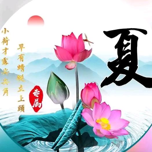 用户4511195281978夏