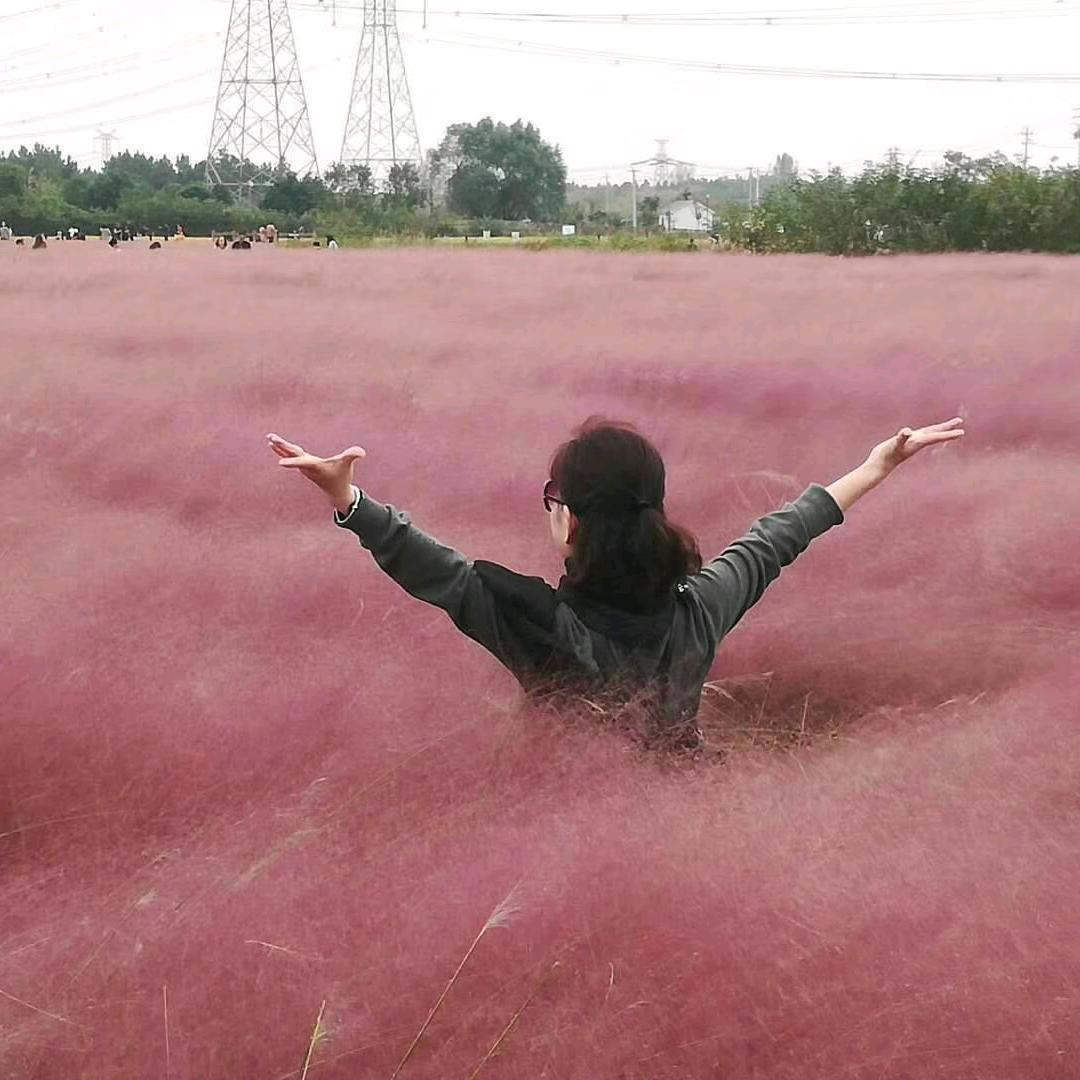 霞.阳光明媚
