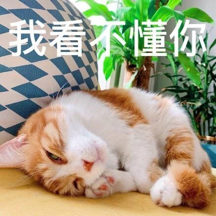 游戏玩家代代
