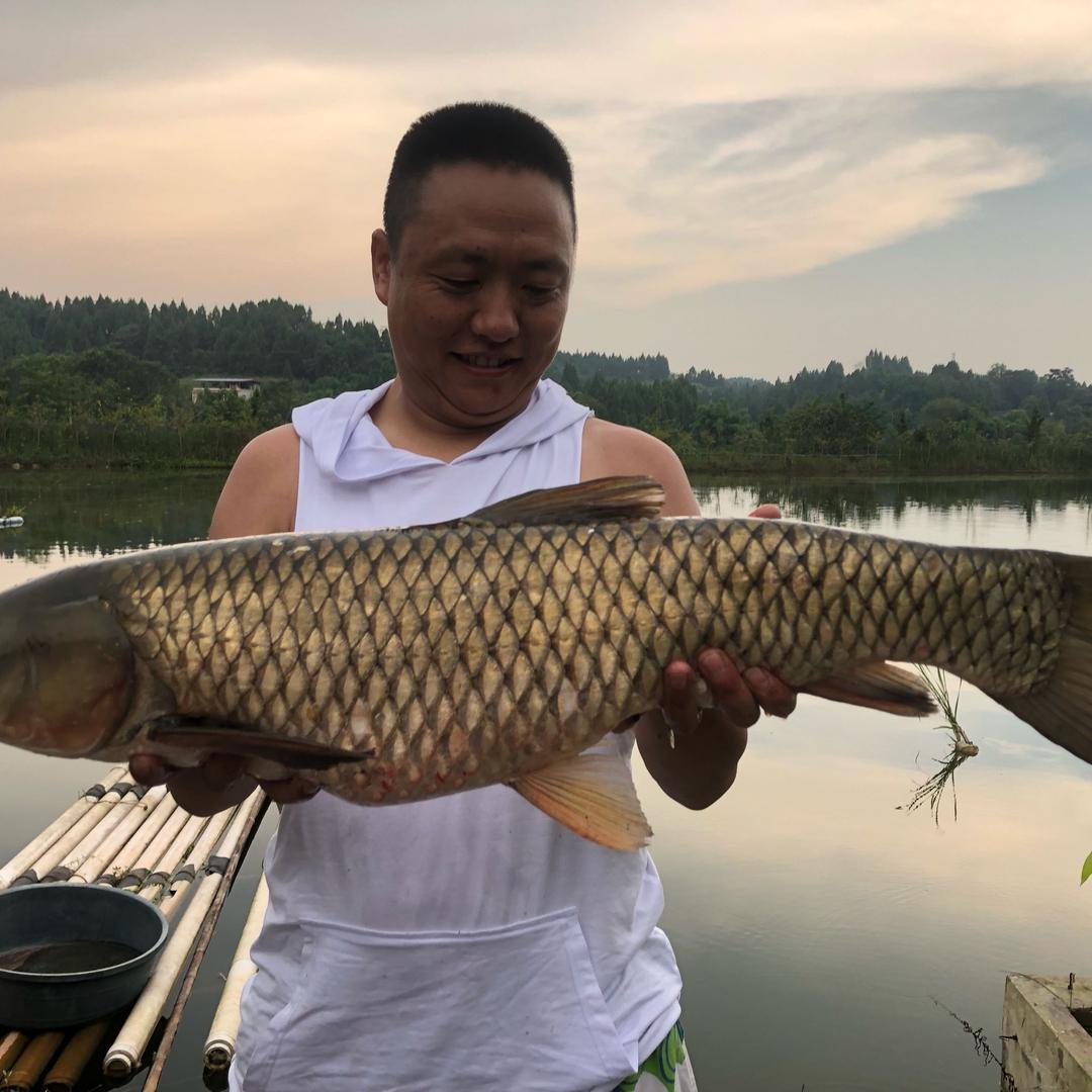 德阳市区鱼友鱼具电子商务经营部的小店