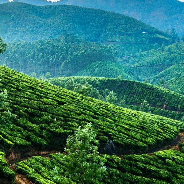 用户474312236胖胖