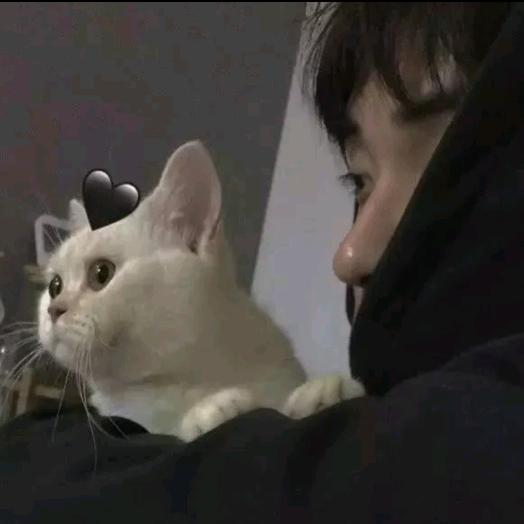 宁静致远（禁私聊禁合拍）