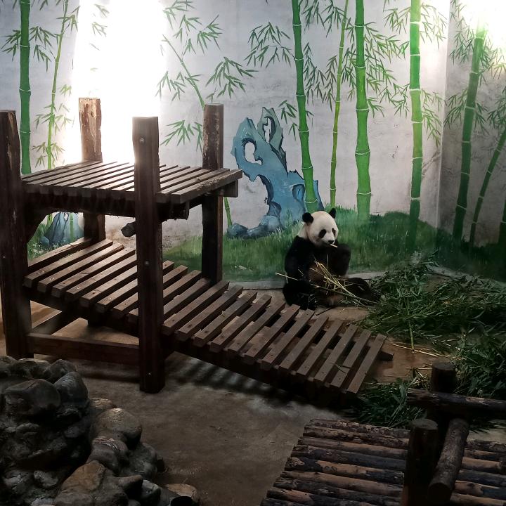 温柔只给意中人。