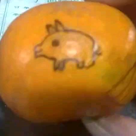 名字（哈哈）😄😄