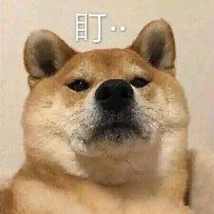 我的屁屁好疼啊