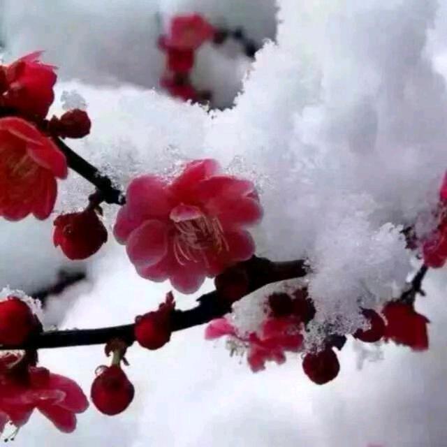 一生何求