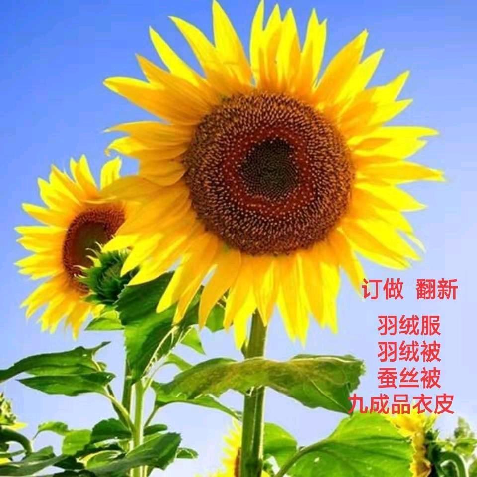 华羽服装店