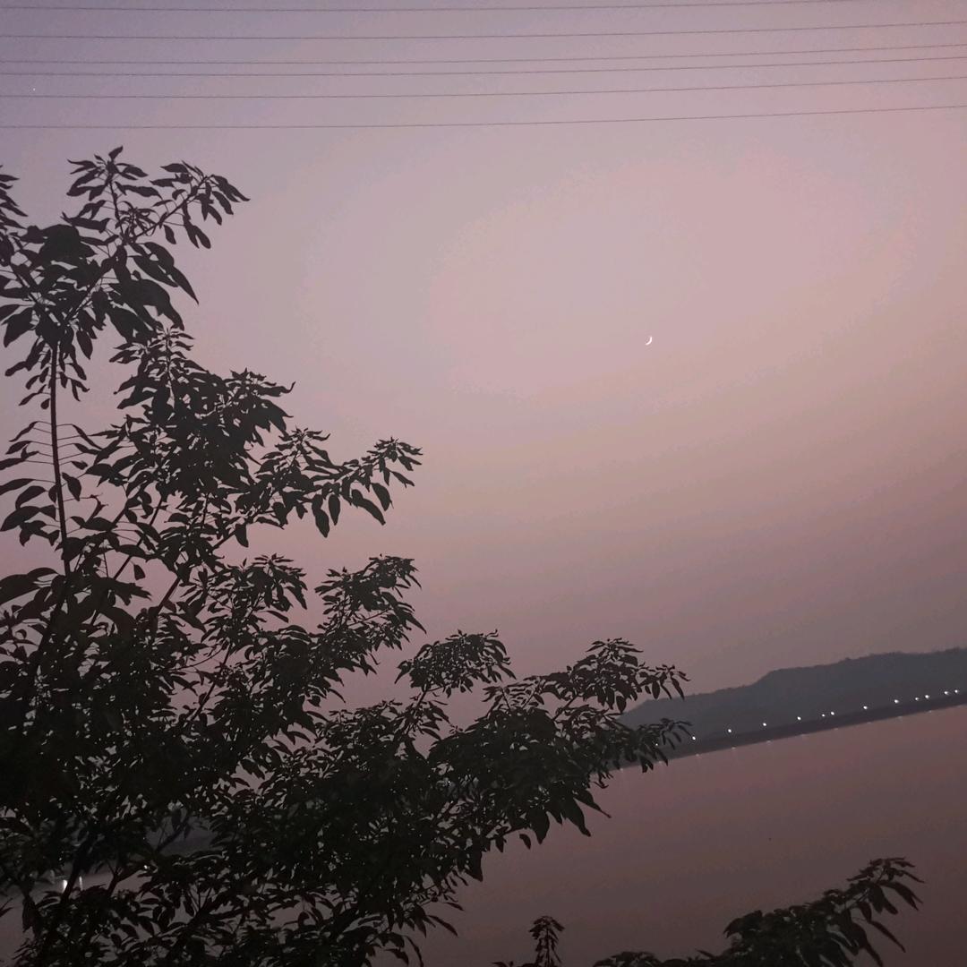 巍