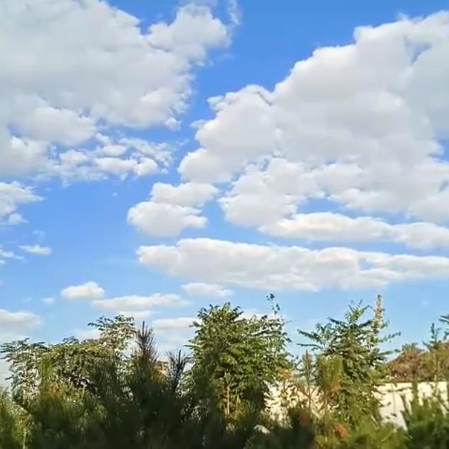 放飞心情