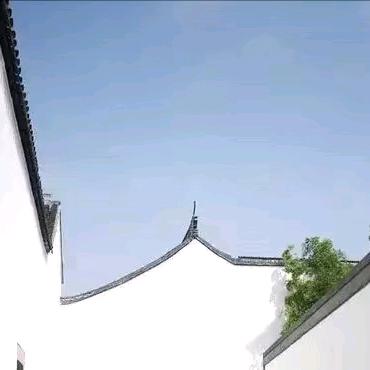 静观