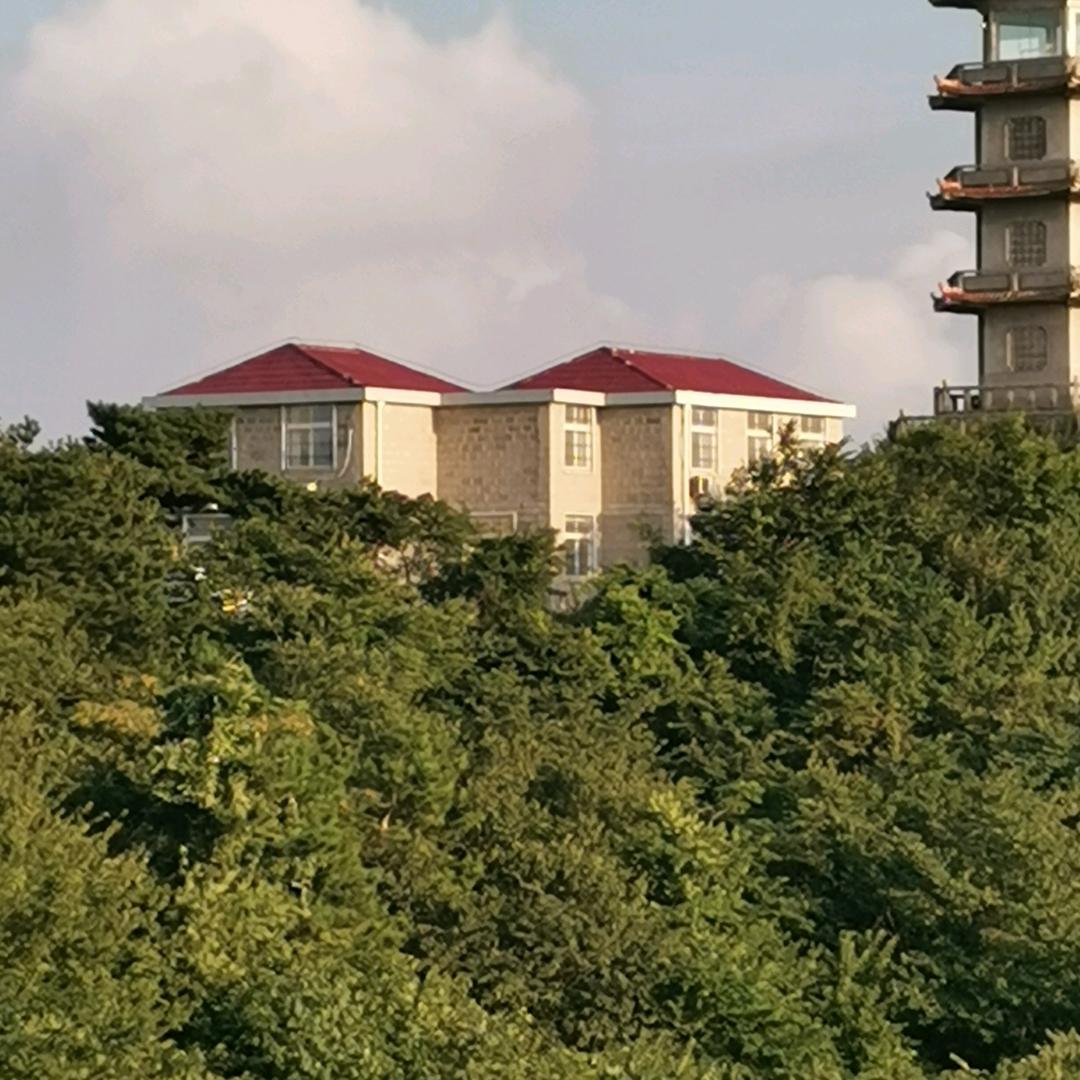 开心果