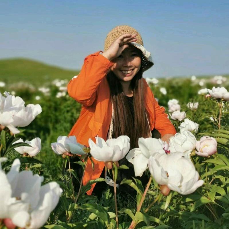 陪你一起看草原