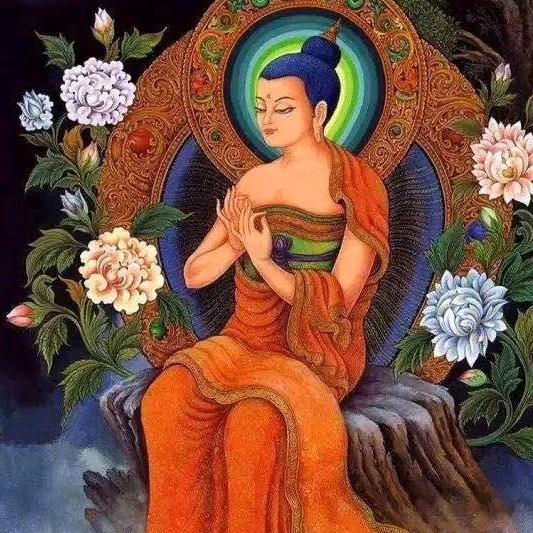 萨武向导 小舅舅