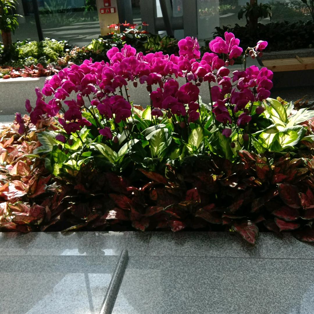 一缕清风