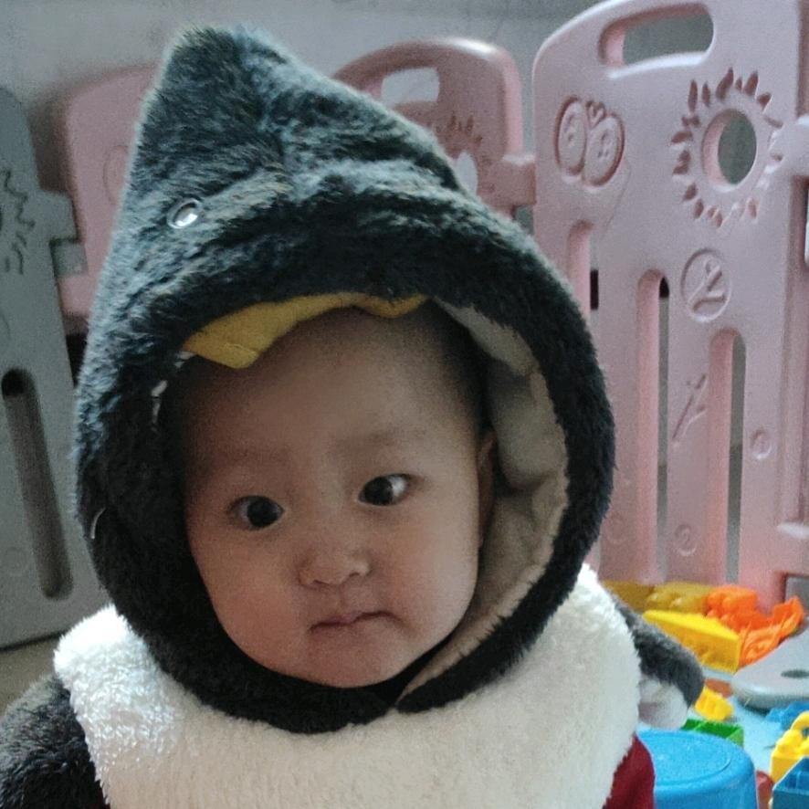 莫之与京