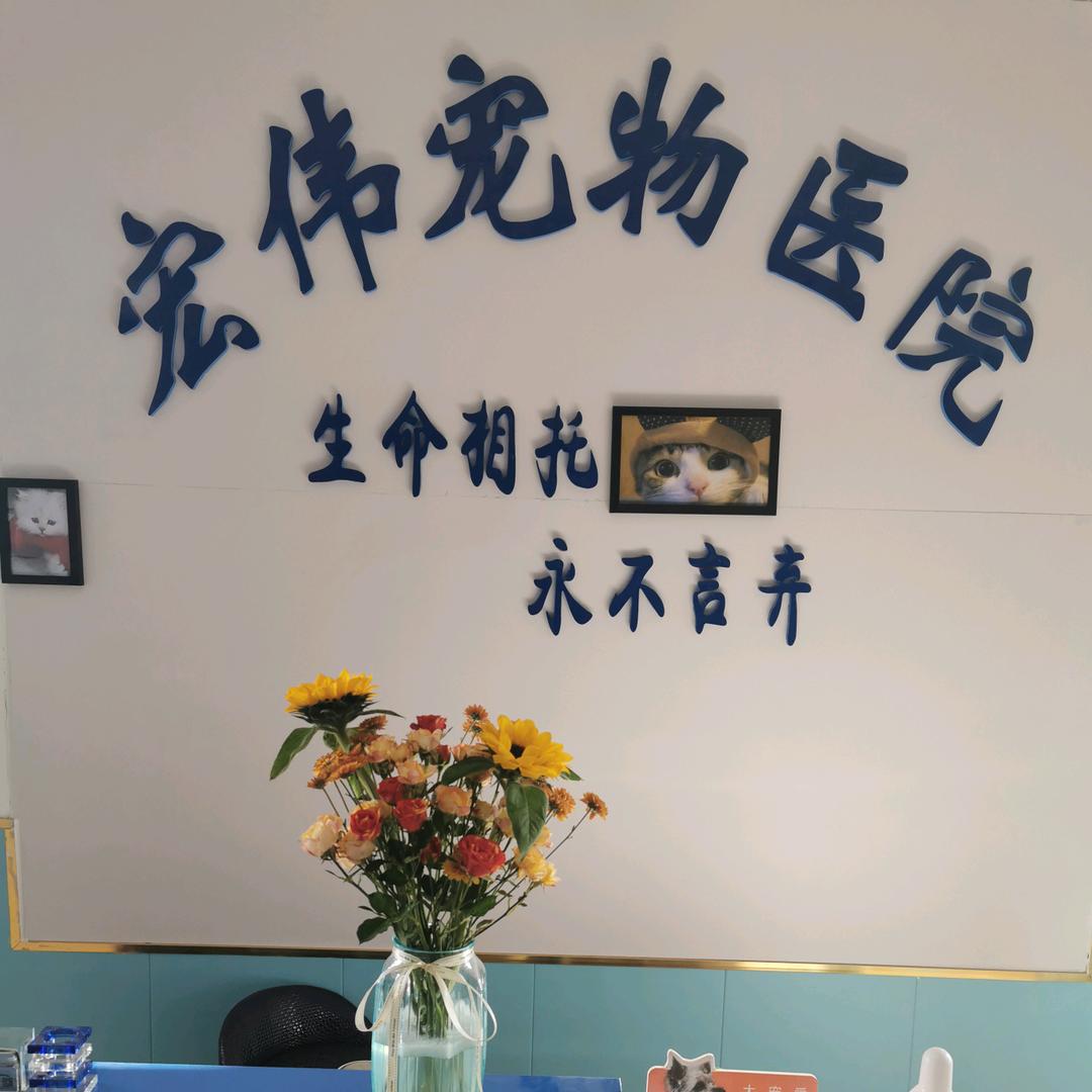 宠医星宏伟宠物医院吉祥路中心医院