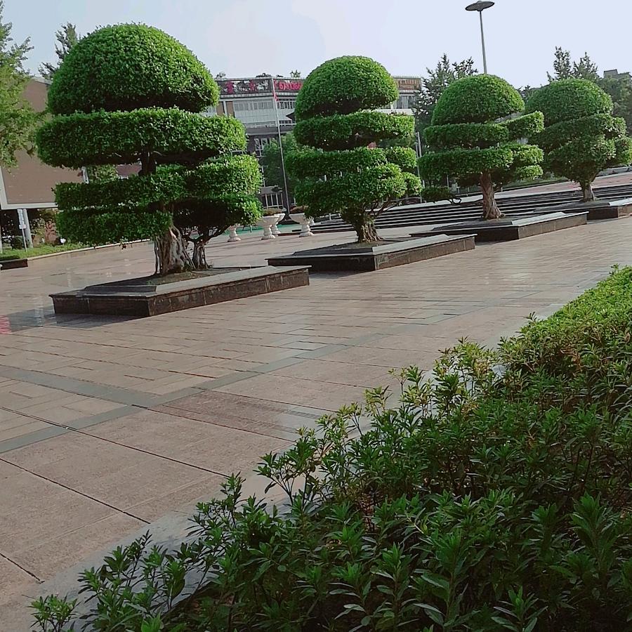 『 星空物语 』