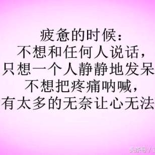 微风中的麦穗🌾