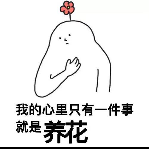 范团儿
