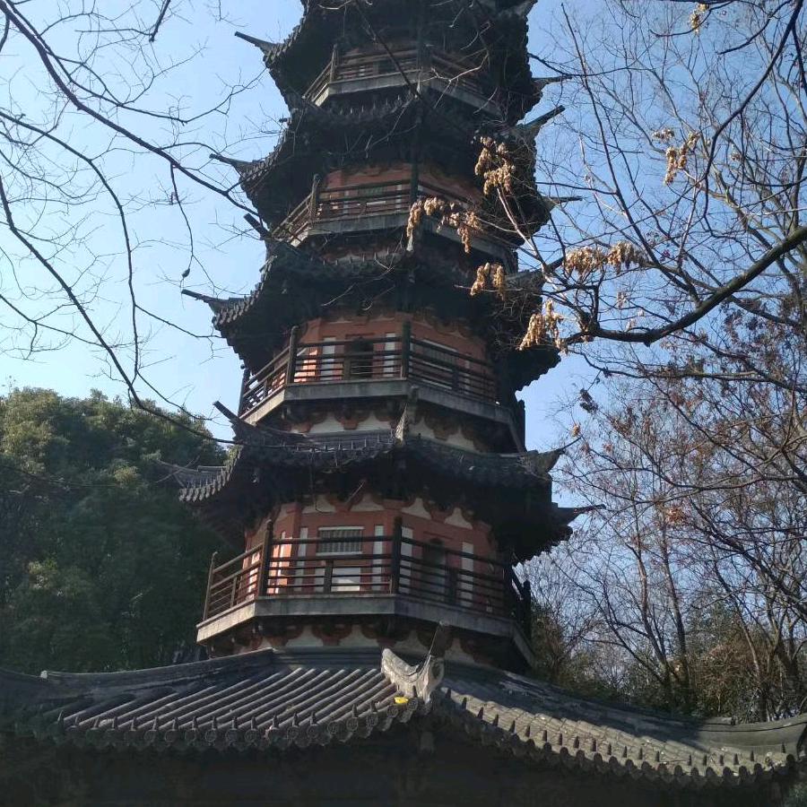 梦情缘