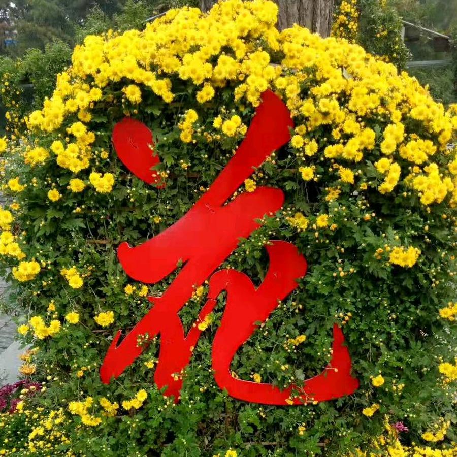 玫瑰花