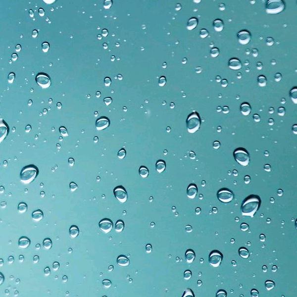 黄钻&贵族(闭关中)