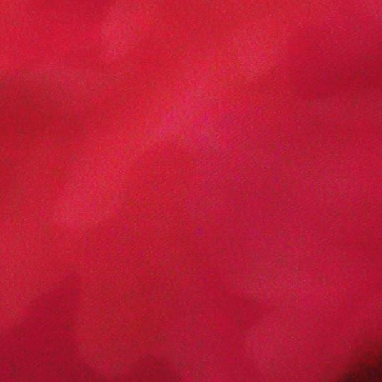 牵着蜗牛去散步