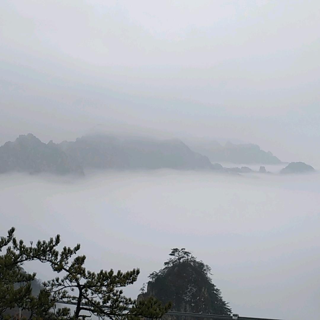 暗香疏影